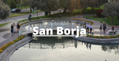 Mudanzas en San borja