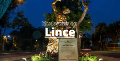 Mudanzas en lince