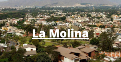 mudanzas en la molina