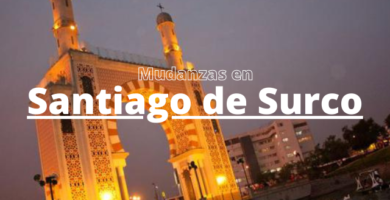 mudanzas en surco